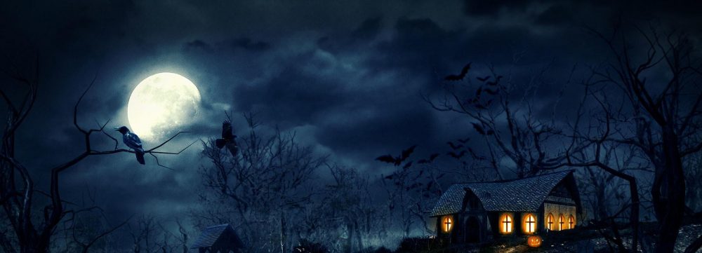 Pat's Language Cabinet